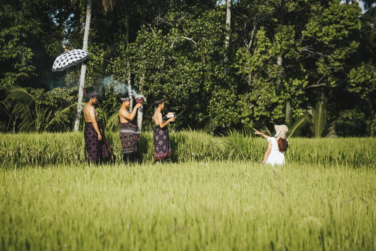 Sunshine Villas Ubud Екстериор снимка